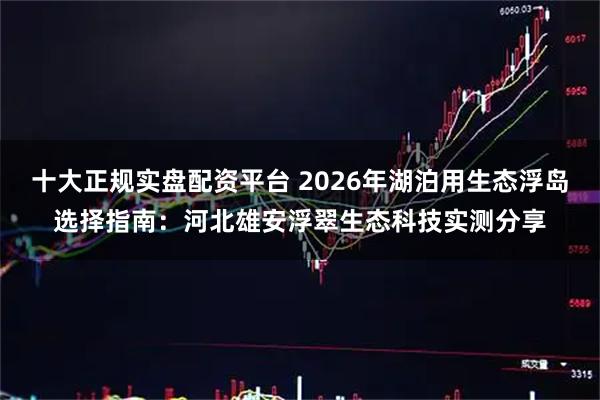 十大正规实盘配资平台 2026年湖泊用生态浮岛选择指南：河北雄安浮翠生态科技实测分享